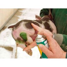 Groene olie wondverzorgingsspray (200 ml)