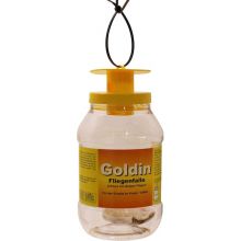 Goldin vliegenval